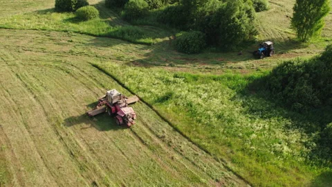 Mower rides through the meadow accompanied by a stork Stock-Footage 163489792