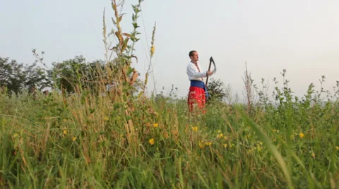 Mower sharpening his plait Stock-Footage 30588750