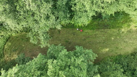 Mowers drum worker cut man drone clean up growing wetland grass mower rotary Video stock 296115635