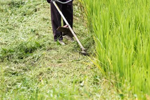 Mowers engine Stock Photos