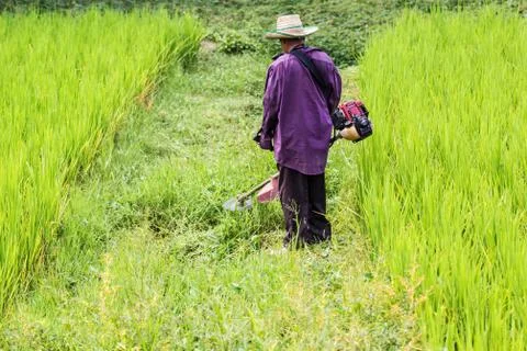 Mowers engine Stock Photos