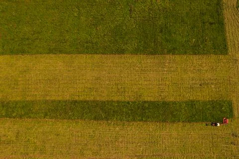 Mowing the field Foto stock