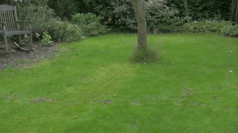 Mowing grass 1 Stock Footage 328397