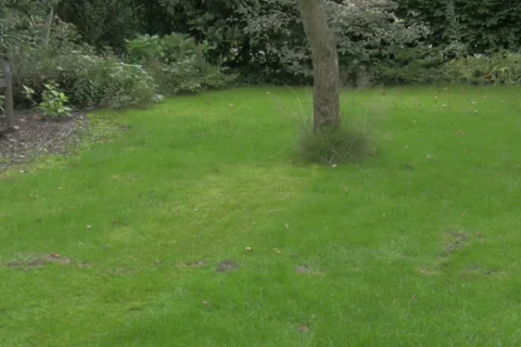 Mowing grass 1 NTSC Video stock 328401