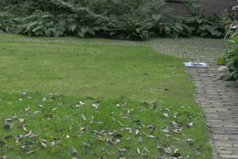 Mowing grass 2 NTSC Stock Footage 328409