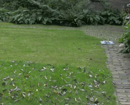 Mowing grass 2 PAL Video stock 328411