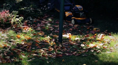 Mowing the grass 5 Stock Footage 865214
