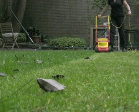 Mowing grass 5 PAL Stock Footage 328455