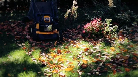 Mowing the grass 6 Stock Footage 865124