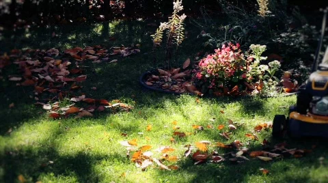 Mowing the grass 7 Stock Footage 864915