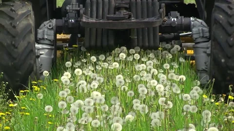 Mowing grass in the aisles of the garden using a tractor and a machine Video stock 154694457