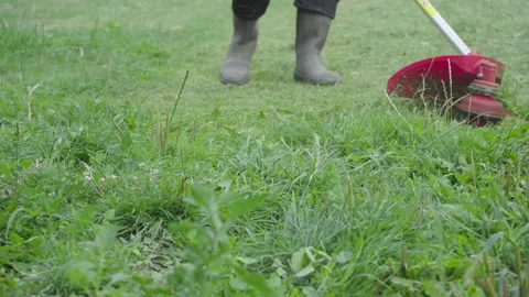 Mowing the grass close-up Stock Footage 268883463