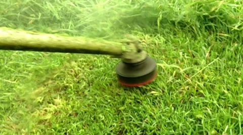 Mowing Grass close up. Slow Motion. Stock-Footage 32967286