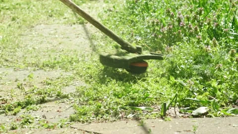 Mowing the grass with electric lawn mower. Garden work concept background Video stock 186715587