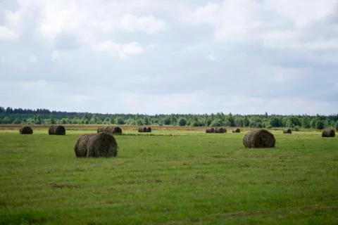 Mowing grass in field Stock Photos