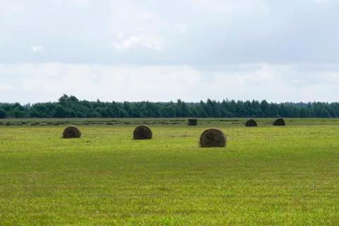 Mowing grass in field Stock Photos