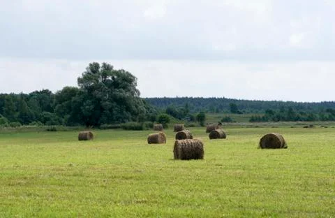 Mowing grass in field Stock Photos