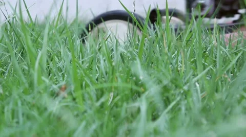 Mowing the Grass Stock Footage 8689689