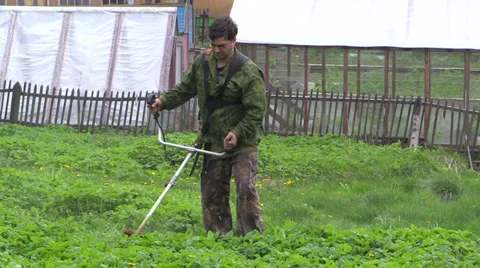 Mowing the grass Video stock 39674153