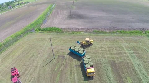 The mowing of grass Video stock 62900654