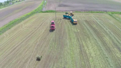 The mowing of grass Video stock 62901042