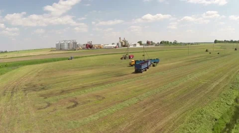 The mowing of grass Video stock 62901226