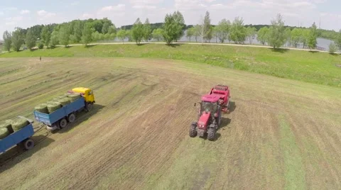 The mowing of grass Video stock 62901466