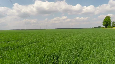 The mowing of grass Video stock 63097484