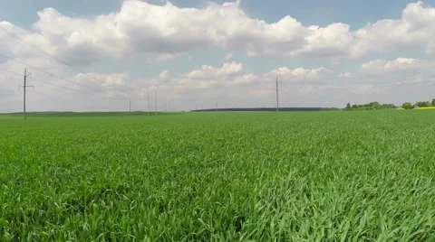 The mowing of grass Video stock 63097614