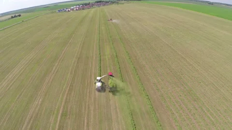 The mowing of grass Video stock 63097746