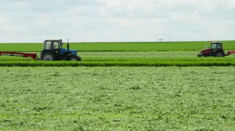 The mowing of grass Stock Footage 63349400