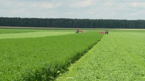 The mowing of grass Stock Footage 63352213