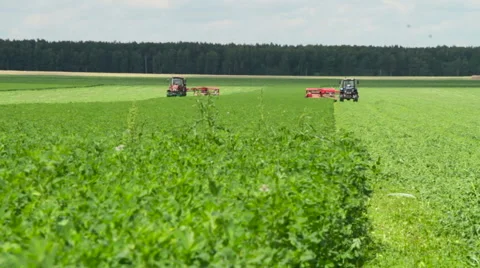 The mowing of grass Stock Footage 63355398