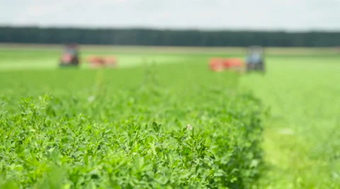 The mowing of grass Stock Footage 63356301