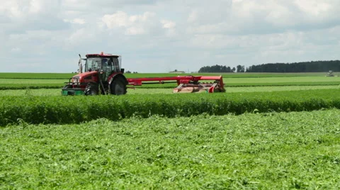 The mowing of grass Stock Footage 63356606