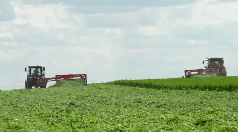 The mowing of grass Stock Footage 63357950