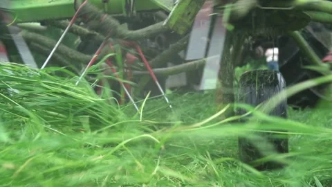 Mowing the grass Video stock 219832338