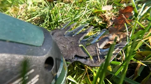 Mowing grass with a hand-held machine Stock Footage 293250424