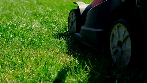 Mowing grass with a lawn mower. Selective focus. Stock Footage 308233287