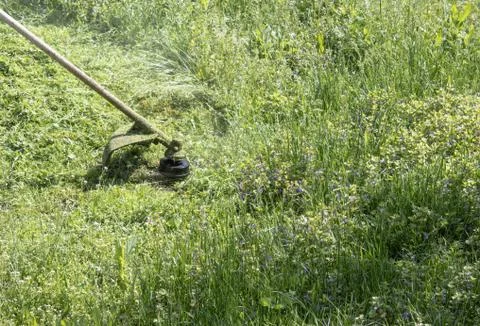 Mowing the grass with a mower. Stock Photos