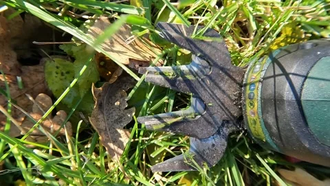 Mowing grass with a small machine Stock Footage 293250425