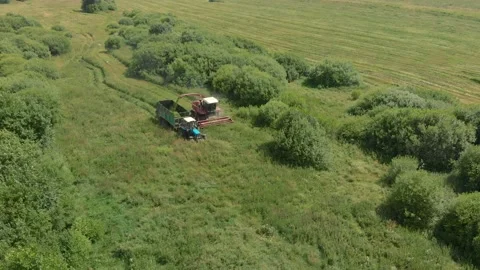 Mowing grass by a tractor-cutting combine on a field among the shrubs Vídeos de archivo 139323402