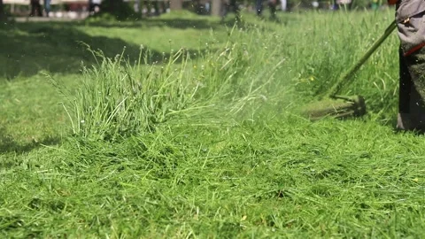 Mowing grass with a trimmer Stock Footage 309906255