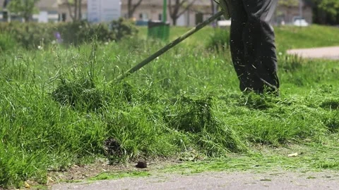 Mowing grass with a trimmer. A man uses a trimmer to cut overgrown grass Stock Footage 309883779