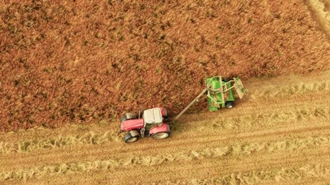 Mowing hay with tractor and side mower across dry grassland for winter cattle Video stock 341333848