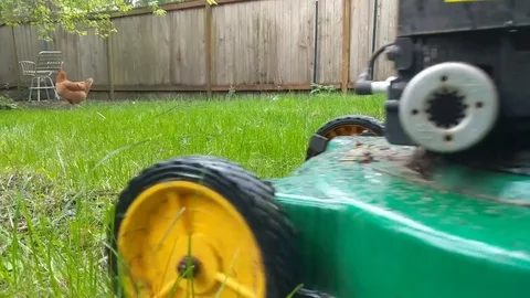 Mowing the lawn 3 Stock Footage 106787053