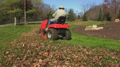 Mowing lawn 5 Stock Footage 33369446