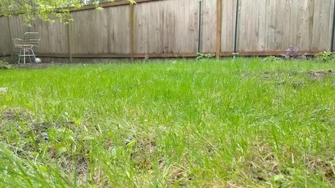 Mowing the lawn 5 Stock Footage 106787066
