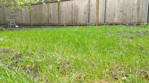 Mowing the lawn 6 Stock Footage 106787067