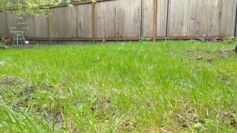 Mowing the lawn 7 Stock Footage 106787080